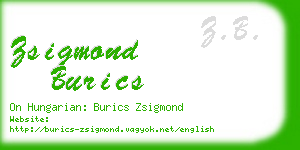 zsigmond burics business card